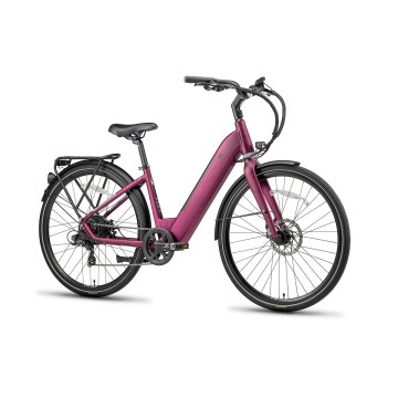 THE E-COMFORT 2