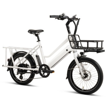 THE E-CARGO BIKE