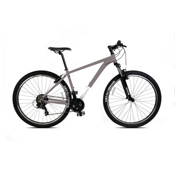THE MOUNTAIN BICYCLE