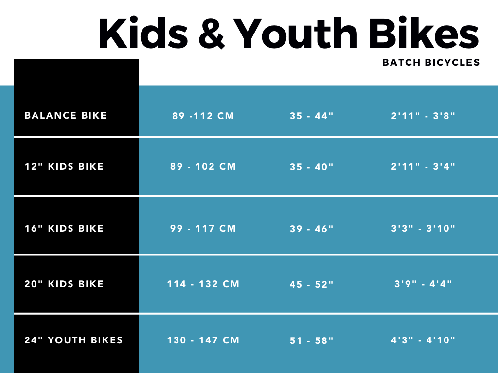 Fit Your Bike Batch Bicycles